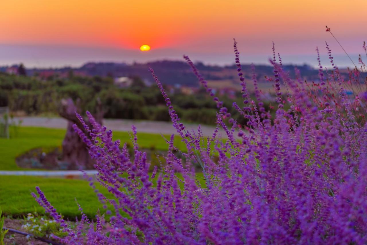 Mint Retreat Suites (Adults Only) Kalandra エクステリア 写真